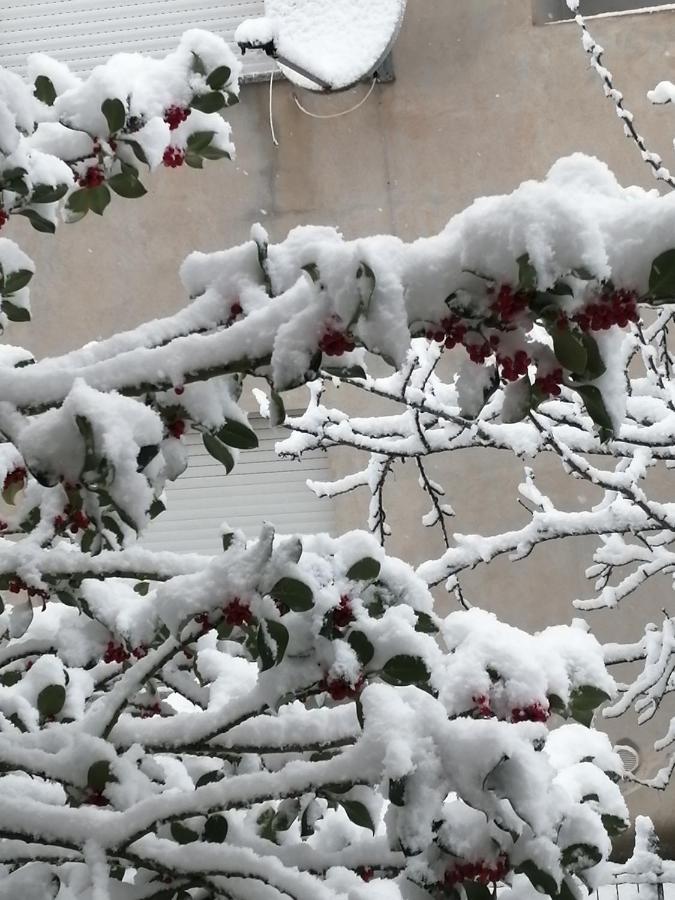 L Agrifoglio Di Rita Loddo Lägenhet Fonni Exteriör bild